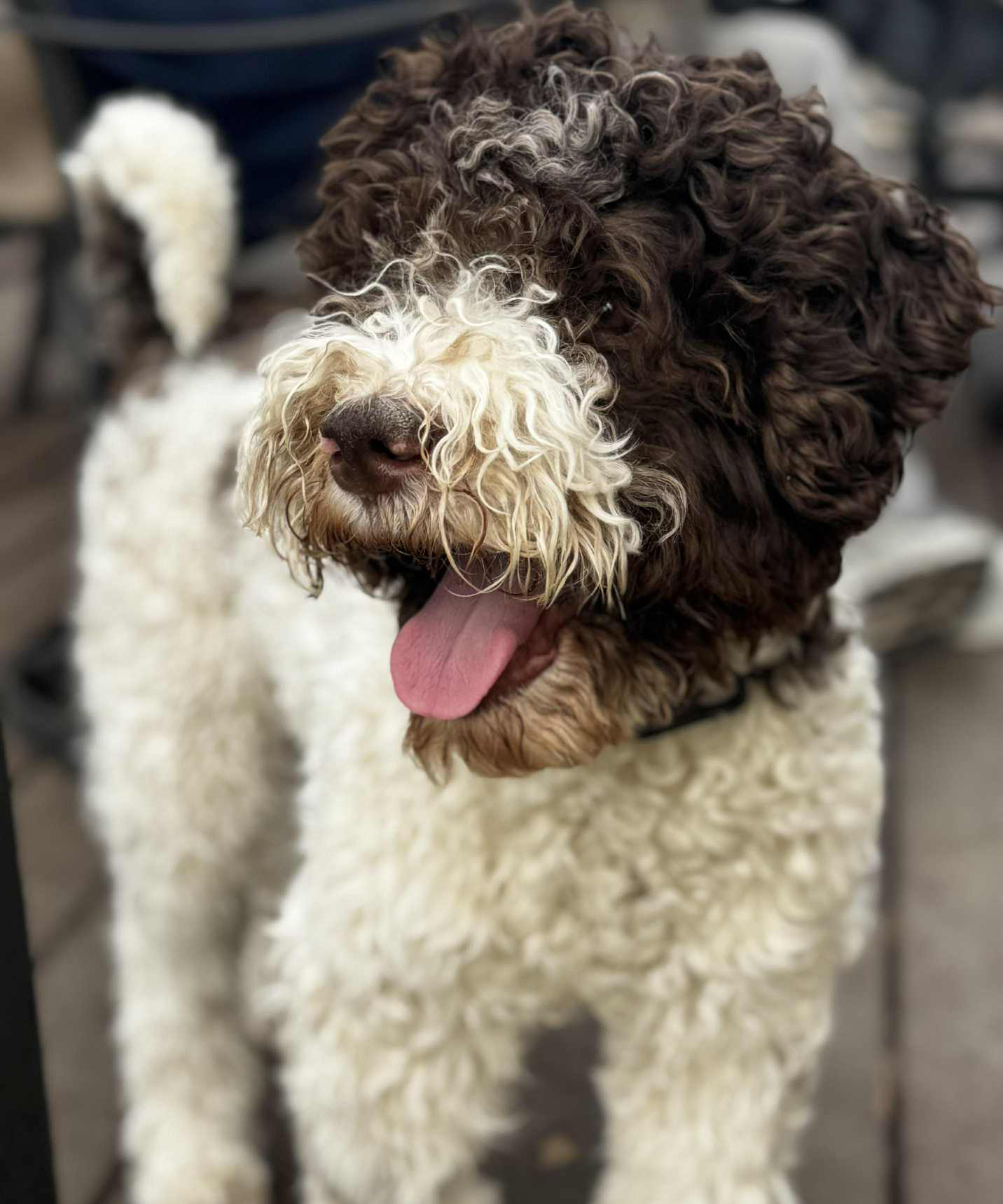 penny
