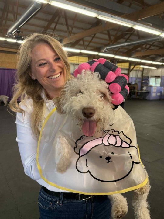 Lagotto Halloween Party