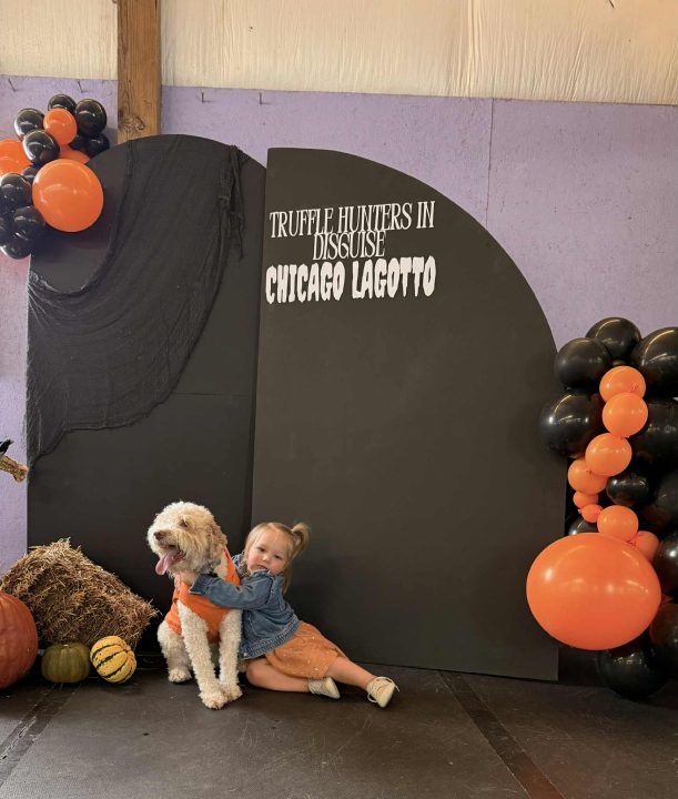 Lagotto Halloween Party