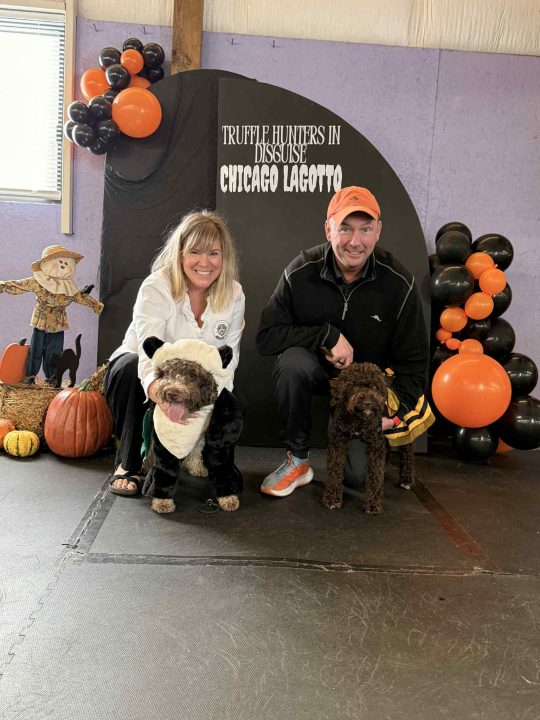 Lagotto Halloween Party