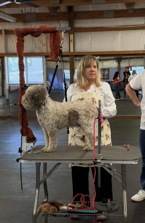 Lagotto Halloween Party