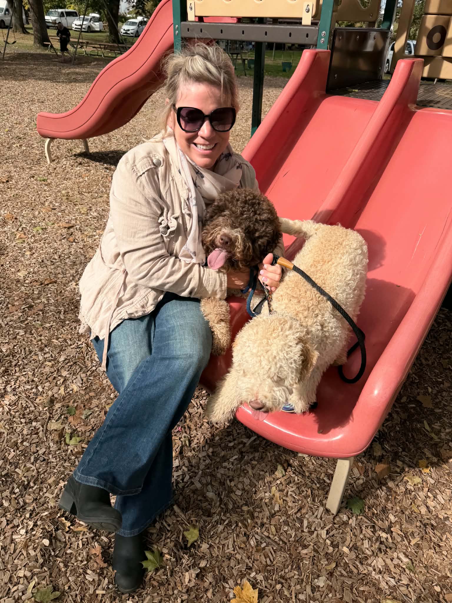 chicago lagotto
